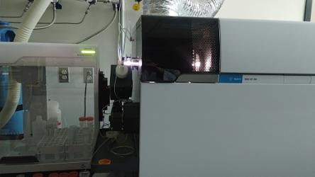 Plasma