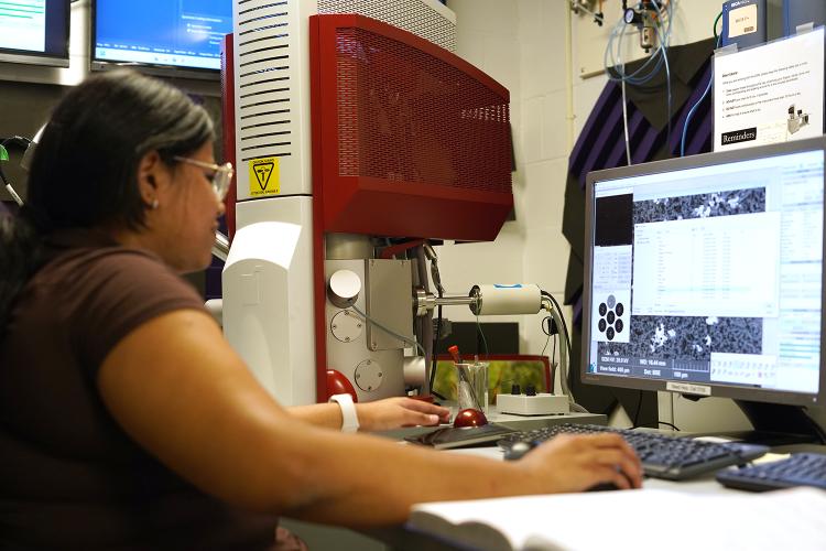 Scanning Electron Microscope lab